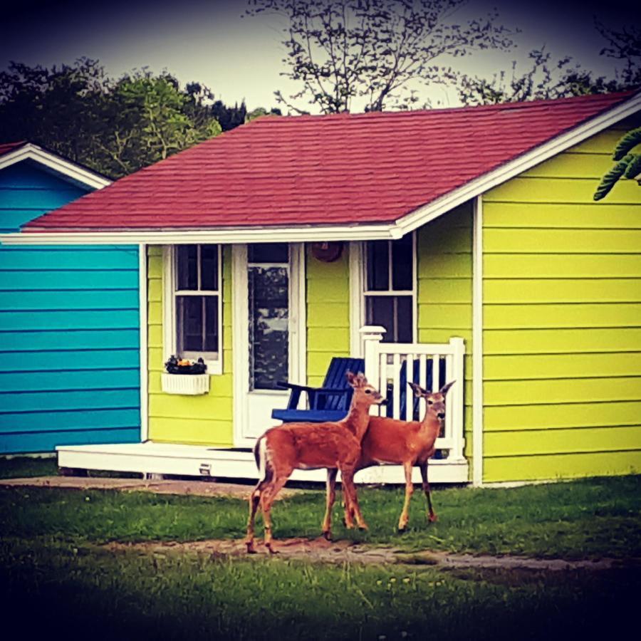 Atlantic View Motel Луненбург Екстериор снимка